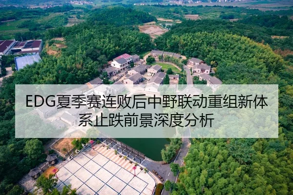 EDG夏季赛连败后中野联动重组新体系止跌前景深度分析